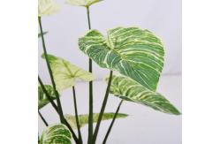 China SGS Artificial Potted Floor Plants High Simulation Plastic Philodendron Birkin supplier