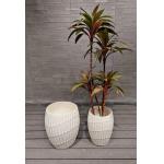 Indoor And Outdoor Spaces Fiberclay Planter With Long-Lasting Life Time Keep 5-6 Years for sale