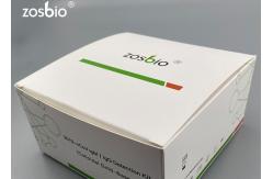 China Whole Blood / Serum COVID-19 Test Kit ( Colloidal Gold - Based ) Validity Period supplier
