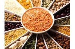 China Food Granule Mini Doypack Packaging Machine Powder Liquid Sauce Packing supplier