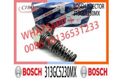 China Injector Pump 313GC5230M 313GC5230MX for DAF XF95 95XF 480 CF75-85 supplier