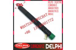 China SSANGYONG DELPHI Diesel Fuel Injector EJBR02601Z EJBR04601D EJBR026012 HDR341 supplier