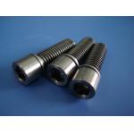 titanium  hexagon socket head cap bolts for sale