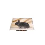 B141PW01 V1 14.1 inch 1440*900 TFT-LCD SCREEN LCD Display for sale