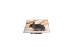 China B141PW01 V1 14.1 inch 1440*900 TFT-LCD SCREEN LCD Display supplier