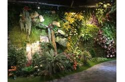 China Decorative Anti UV Vertical Greening , Artificial Plant Wall HAIHONG supplier