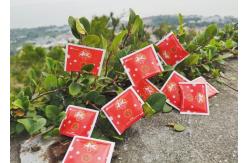 China Tailor Made 5g Disposable White Sugar Packets supplier