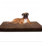8in Silentnight Orthopedic Dog Bed for sale