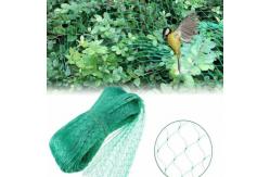 China Green Knitted Anti Bird Netting For Fruit Trees Orchards Protection supplier