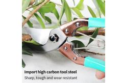 China High Hardness Fruit Picking Grape Garden Pruning Scissors Flower Shears 350G supplier