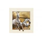Stock Horse Image 5D Pictures Lenticular Photo Printing PET/PP Lenticular Printing for sale