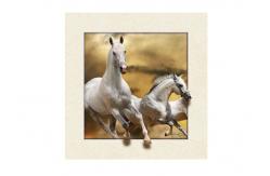China Stock Horse Image 5D Pictures Lenticular Photo Printing PET/PP Lenticular Printing supplier