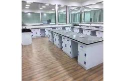 China Modern Design Customizable Laboratory Workbenches in Standard Export Carton supplier