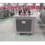 Customized Oil Immersed Type Power Transformer For Hydor Power Plant for sale