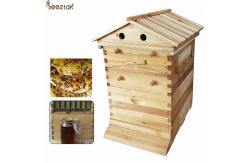 China Beehive And Frame Unassembled flow hive Plus 7 Honey Flow Frames Inside supplier