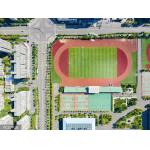Wear - Resistant Sandwich System Running Track Rubber Field Athletic for sale