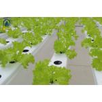 Greenhouse NFT Hydroponic PVC Pipe With Removable Lid For Vegetables Growing for sale