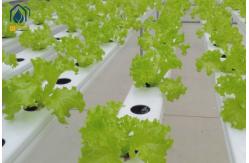 China Greenhouse NFT Hydroponic PVC Pipe With Removable Lid For Vegetables Growing supplier