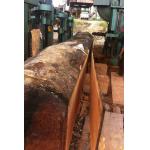 Woodworking Machinery Vertical Bandsaw Saw Machines with CNC Cutting Carriage