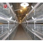 50000 Layers Farm Poultry Chicken Cage Equipment for sale