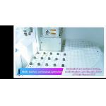 Rotation Axis Fiber CNC Laser Source With Servo High Precision