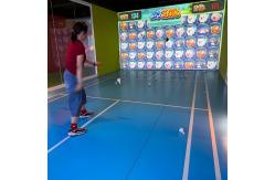 China Interactive Projection Badminton Hall Simulates Automatic Launching Throwing Machine supplier