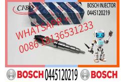 China Common Rail Injector 0445120219 0445120100 0445120275 51101006127 for Man Truck supplier