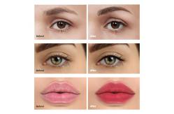 China NUOJO OEM Permanent Makeup Pigments For Lip Eyebrow Concentrate Liquid Ink supplier