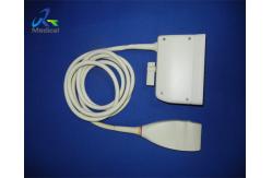 China Linear Array Ultrasound Transducer Probe  L12-5 60 Days Warranty supplier