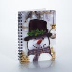 hot sales custom design A4 A5 3d lenticular spiral exercise journal notebook with 3d cover for students for sale