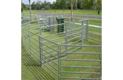 China Galvanized Welded Pipe Cattle Fence Panel 8FT Horse Farm Fencing Panels supplier