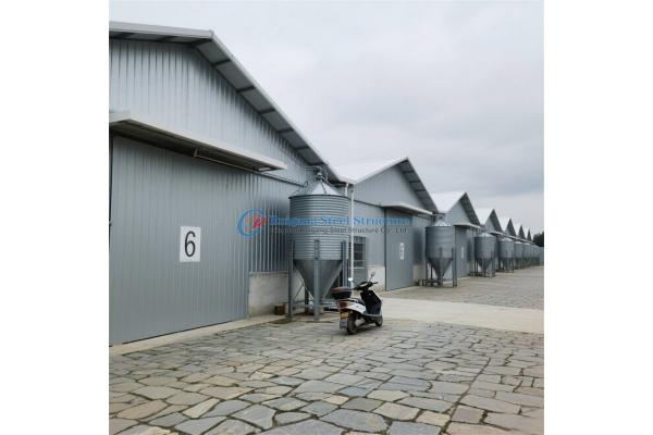 Prefab House Solutions for Warehouse, Chicken House, Poultry House