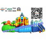 Exciting Exhibition Combo Backyard Inflatable Water Park  With Big Slide Bouncer for sale