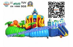 China Exciting Exhibition Combo Backyard Inflatable Water Park  With Big Slide Bouncer supplier