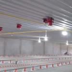 Electrical Environmentally Controlled Poultry House for sale