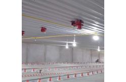 China Electrical Environmentally Controlled Poultry House supplier