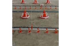 China Open House Shed 2.2cm Chicken Nipple Drinker System supplier