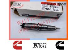 China Diesel Engine Common Rail Fuel Injector 3976372 4945969 6754113011  For Cummins supplier
