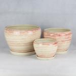Stylish And Functional Ceramic Pots Perfect For Any Plant And Any Space