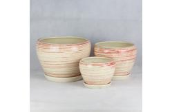 China Stylish And Functional Ceramic Pots Perfect For Any Plant And Any Space supplier