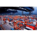 China To America FCL Container Shipping DDU DDP Terms Fast Freight Forward for sale