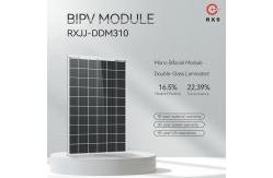 China Rixin Transparent BIPV Solar Panels Mono Glass 310W 320W Solar Panel PV Module supplier