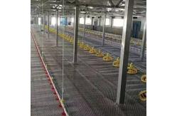China 12 Birds 60HZ Poultry Farm Feeding System supplier