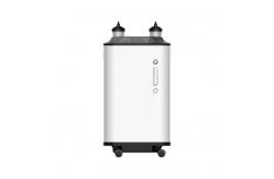 China 10L Portable High Flow Oxygen Machine Portable Concentrator Generator supplier