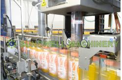 China Industrial Fruit Juice Filling Machine With Rinsing Filling Capping supplier