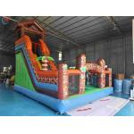 Inflatble Exotic Bouncy House With Internal Slide Combo Jumping Castle