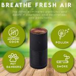 H13 H12 HEPA Negative Ion Portable Air Purifier For Pollen Allergies Smoke for sale