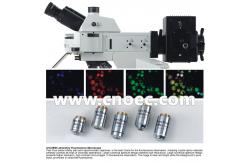 China Trinocular Fluorescence Microscope Stereoscopic For Biological supplier