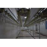 6m Poultry Farming Equipment The Beheaded Chicken Feet Cooling Machine