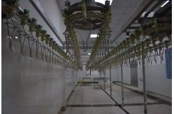 China 6m Poultry Farming Equipment The Beheaded Chicken Feet Cooling Machine supplier